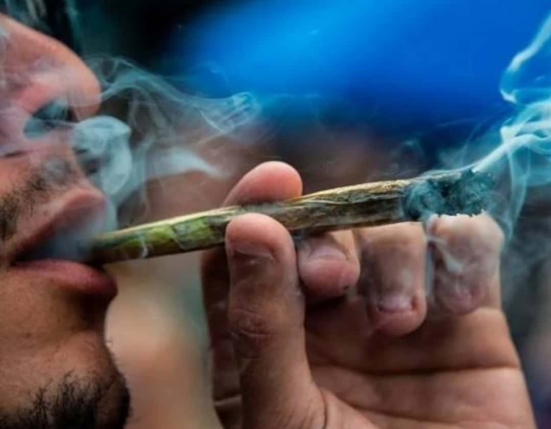 STF tem placar de 5 a 1 para liberar porte de maconha