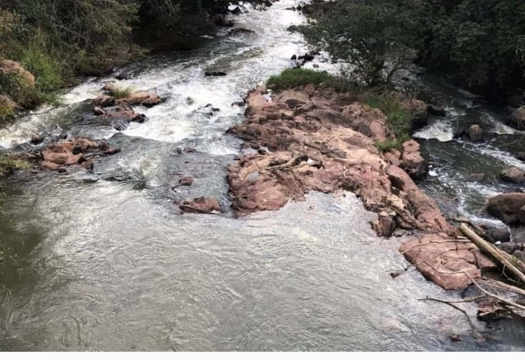 Contaminantes químicos nos rios da região causam riscos à saúde 