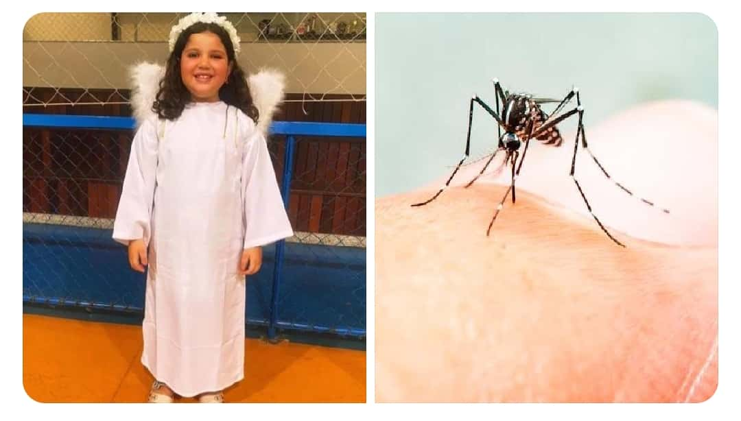 Sua filha tem dengo, disse médico; criança morre dois dias depois de dengue 