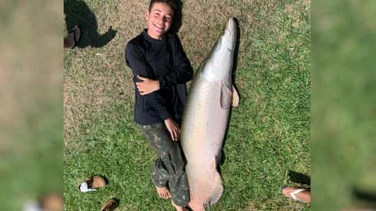 História de pescador? Menino pega peixe de 70 Kg e 1,6 metros 