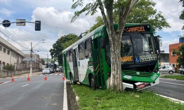 Homem ataca motorista, rouba ônibus e só para ao bater em árvore em Campinas