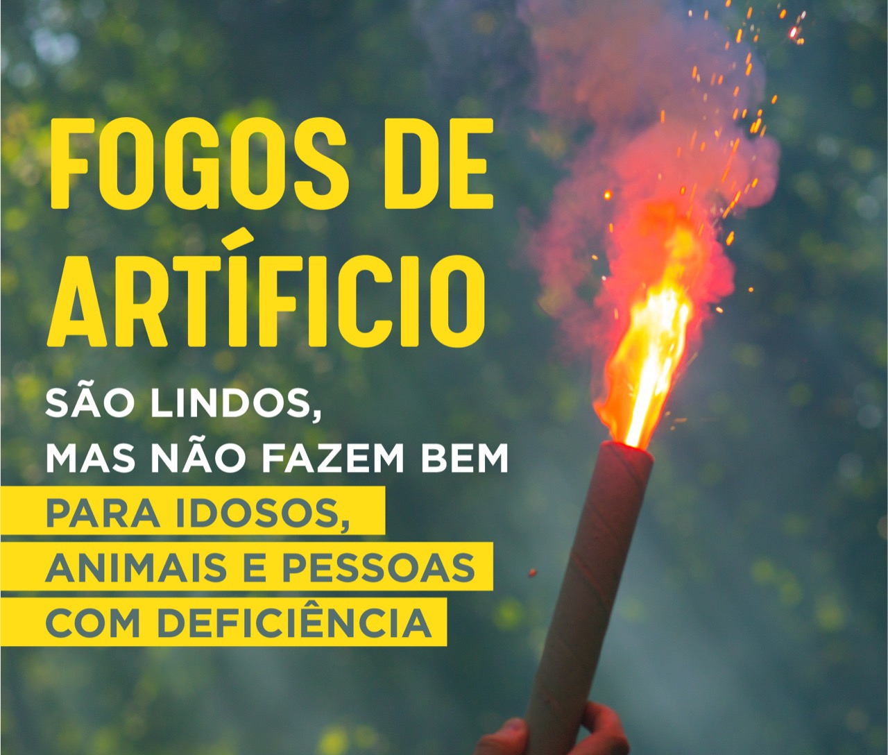 Fogos de Artifício prejudicam Idosos, Pessoas com Deficiência e animais 