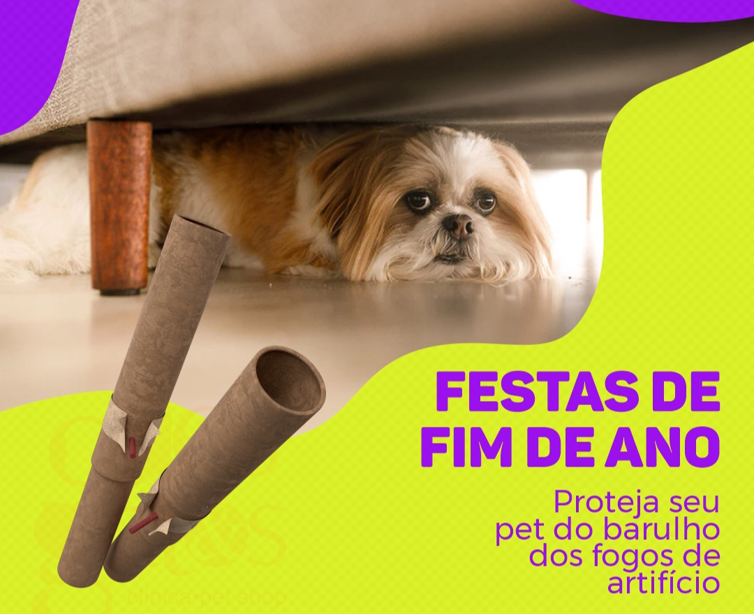 Quase 85% dos pets têm medo de fogos de artifício, aponta pesquisa