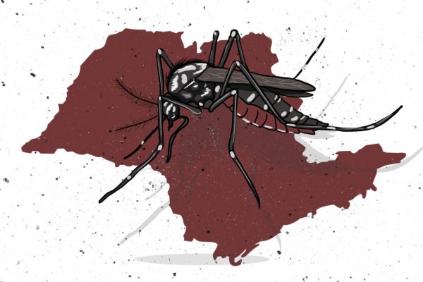 URGENTE: 300 mil casos com 116 mortes por DENGUE em São Paulo 