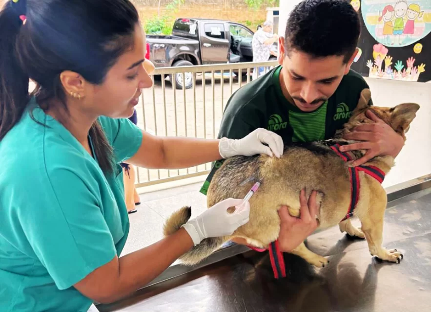 Zoonoses abre vagas de estágio em Itupeva