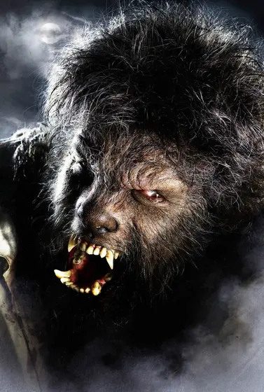 Moradora relata que filho e a irmã viram o lobisomem