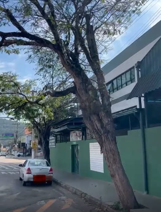 CPFL remove 53 árvores em Itupeva e causa incômodo no Colégio Trevo